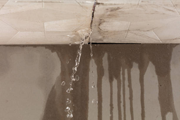 Professional Structural Drying technician working in Delhi, LA
